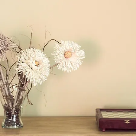 Anastasia's House شقة فولوس